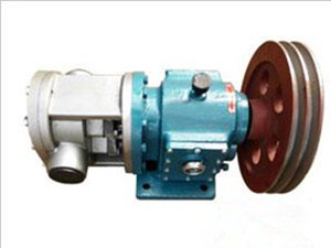 LC-B不锈钢罗茨泵