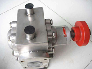 RCBF不锈钢保温食品泵