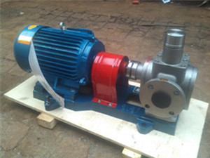 YCBF不锈钢圆弧齿轮食品泵